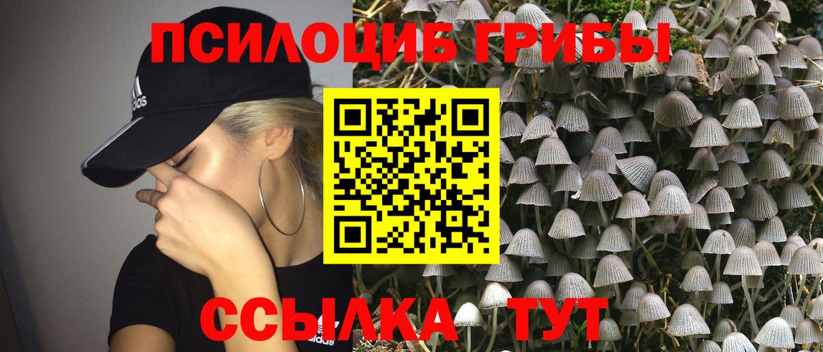 Псилоцибиновые грибы мицелий  Вход с VPN  Псилоцибиновые грибы Magic Shrooms  Великие Луки 